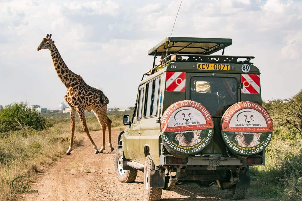 Kenya Classic