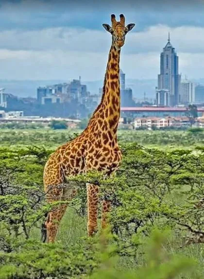 Kenya Adventure 26