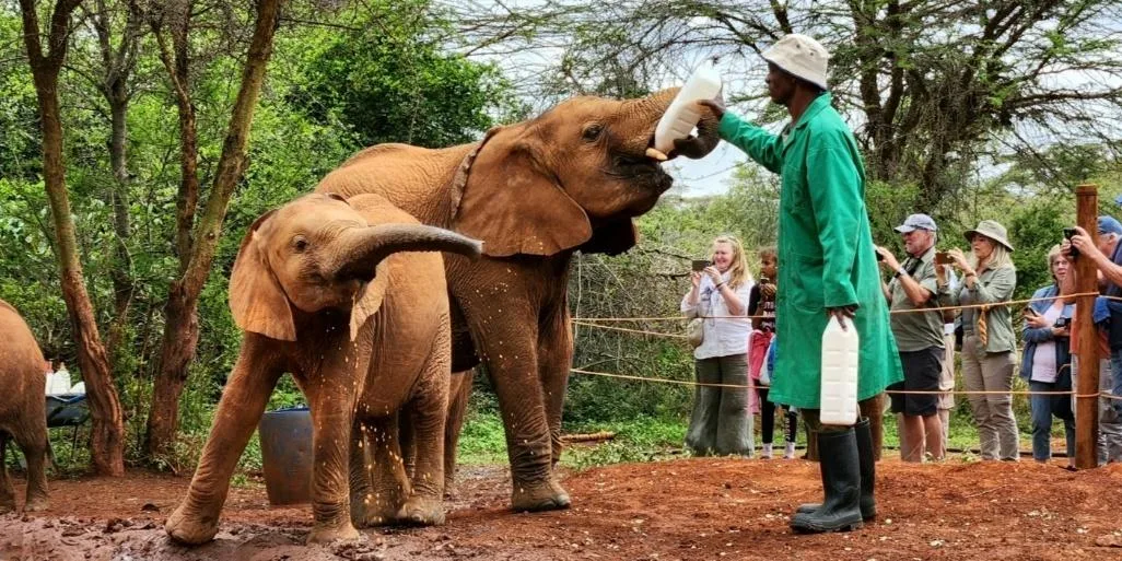 Three Icons of Nairobi