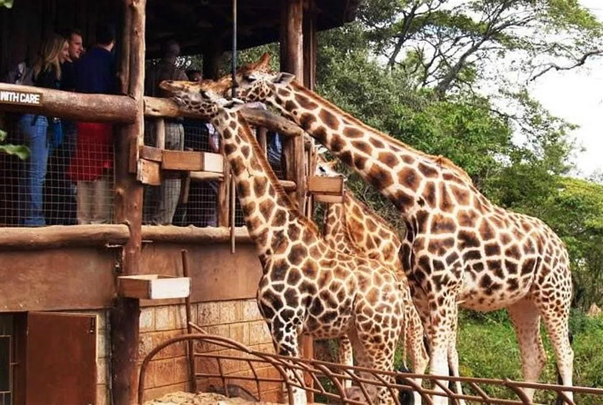 Kenya Adventure 28