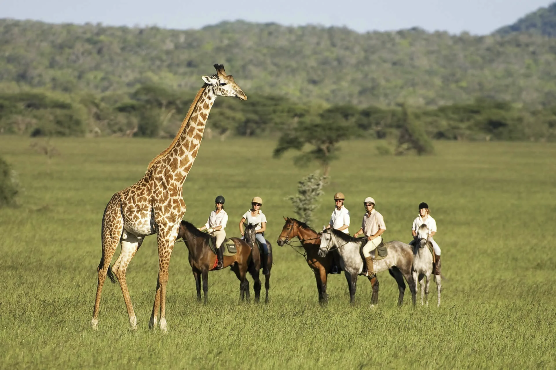Kenya Superior 10