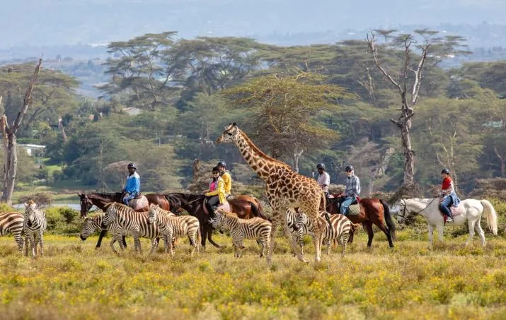 Kenya Adventure 20